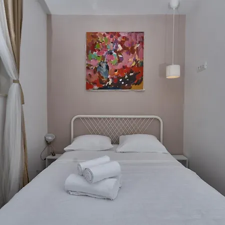 Aspidistra Shadow דירה *