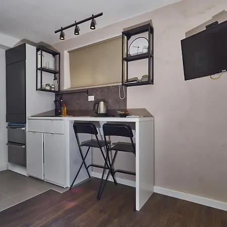 Aspidistra Shadow דוברובניק