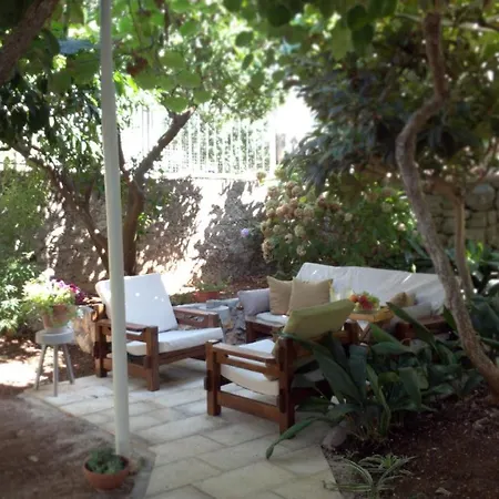 Aspidistra Shadow * Dubrovnik