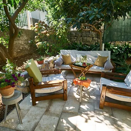 Aspidistra Shadow Apartment