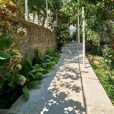Aspidistra Shadow Apartment Dubrovnik