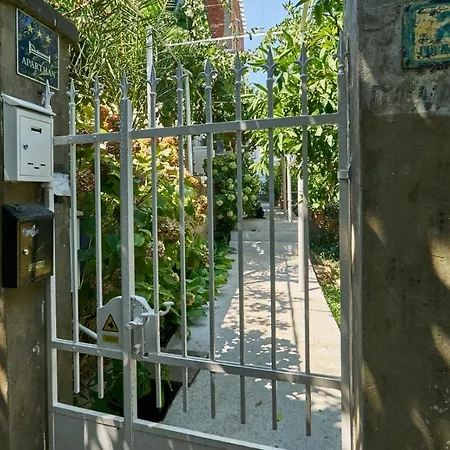 Aspidistra Shadow Apartment Dubrovnik