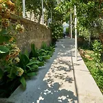 Aspidistra Shadow Apartmán Dubrovník