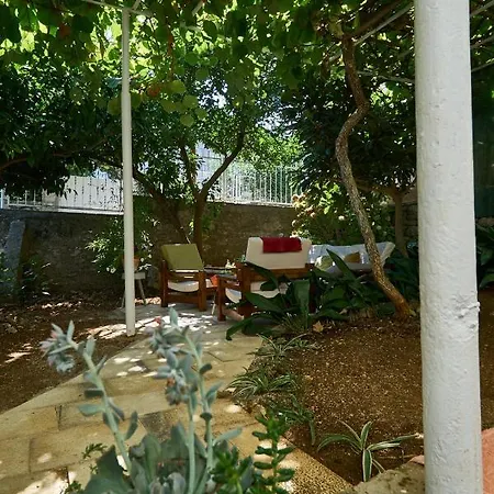 アパート Aspidistra Shadow