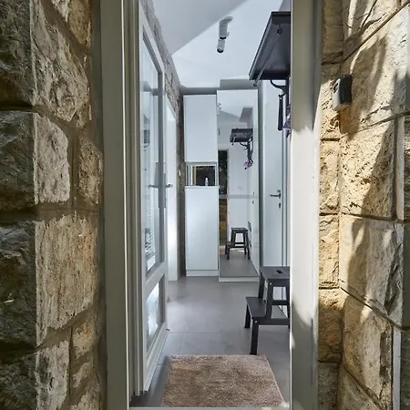 Aspidistra Shadow Appartement *