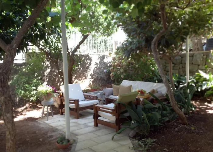 Aspidistra Shadow * Dubrovnik