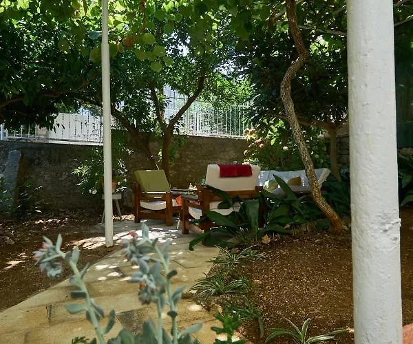 Apartment Aspidistra Shadow