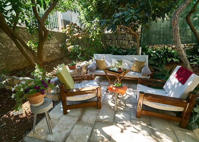 Aspidistra Shadow Apartment