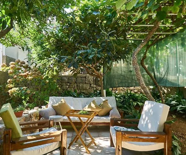 Apartment Aspidistra Shadow