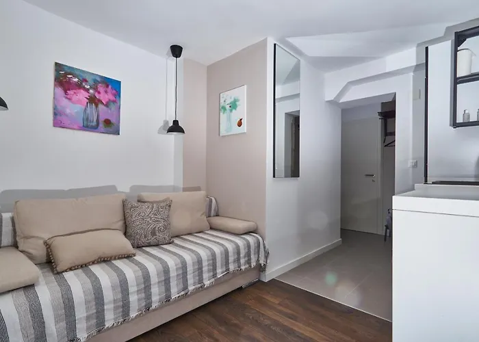 Aspidistra Shadow * Ragusa