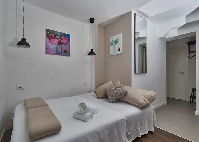 Aspidistra Shadow * Dubrovnik