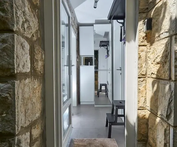 Aspidistra Shadow Apartment *