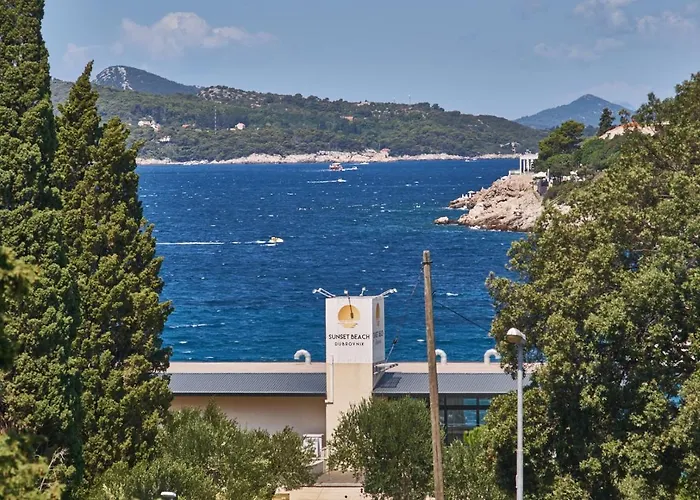 Aspidistra Shadow Appartamento