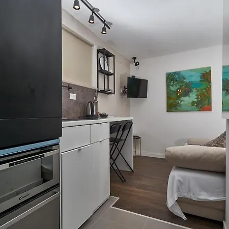 Aspidistra Shadow Dubrovnik