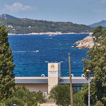 Aspidistra Shadow Apartamento