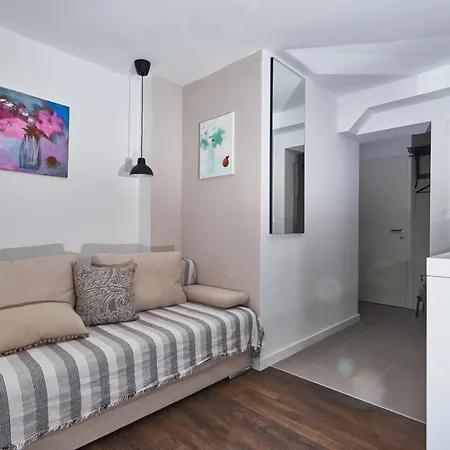 Aspidistra Shadow * Дубровник