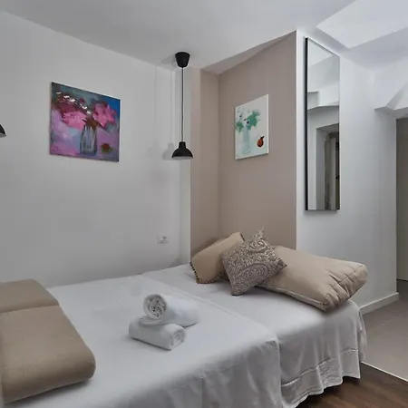 Aspidistra Shadow * Дубровник